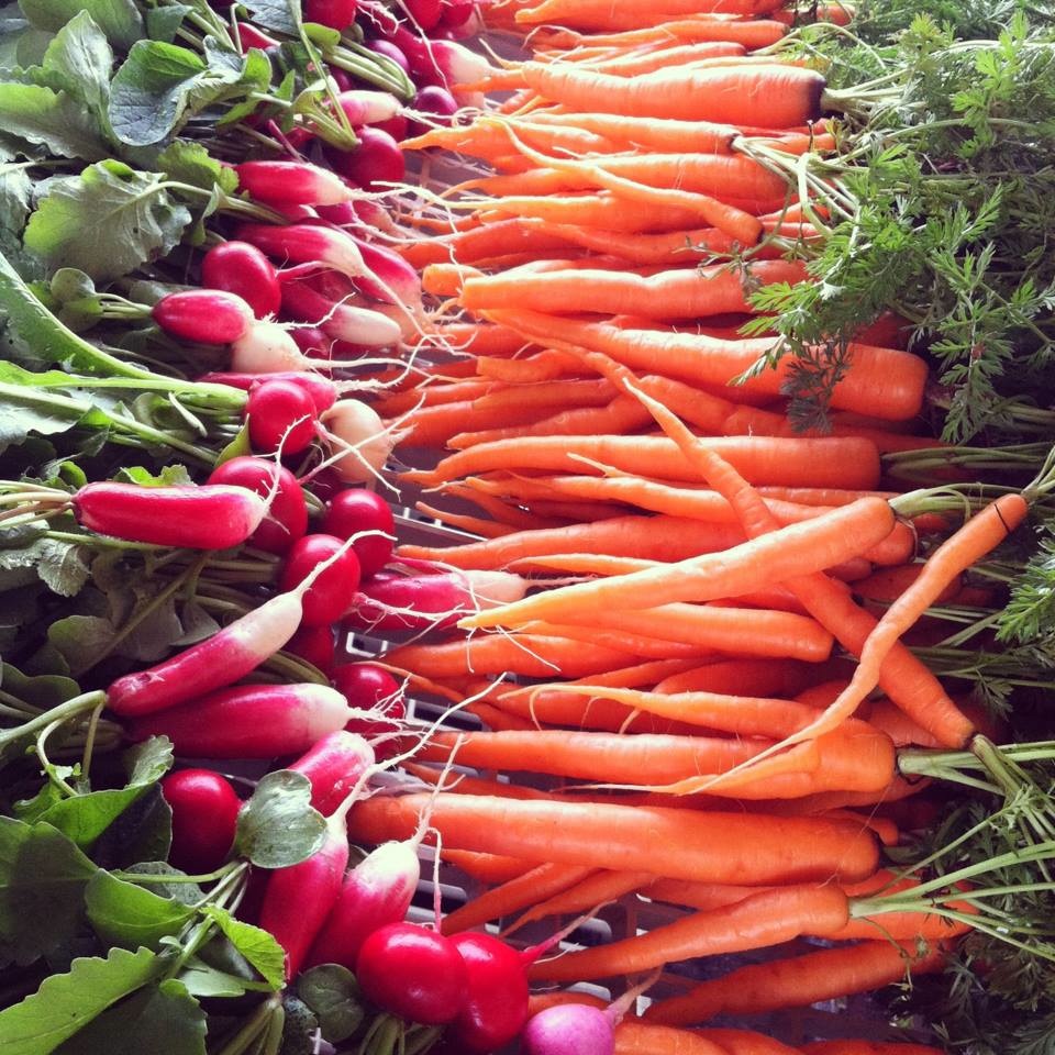 Granite Springs Farm photo 24