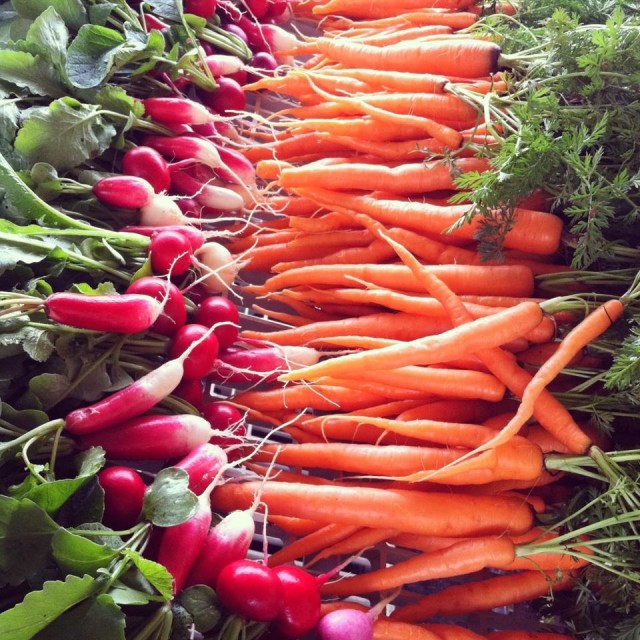 Granite Springs Farm photo 23