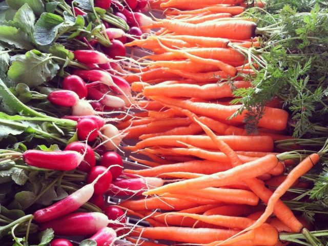 Granite Springs Farm photo 19